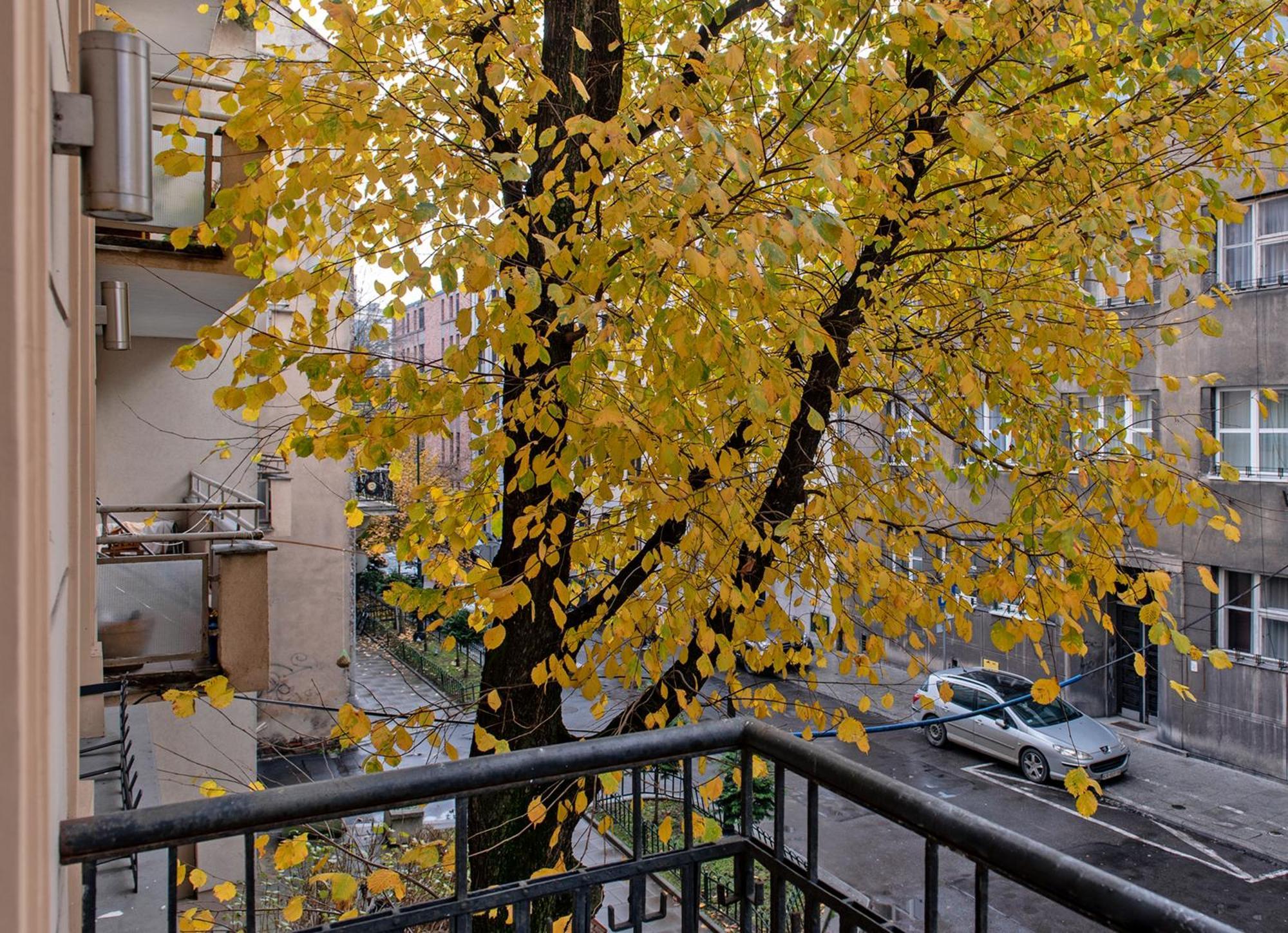 3D Wygoda Apartamenty Kraków Rum bild